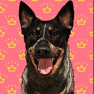 Meet your Posher, Manuel